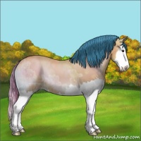 Horse Color:Watercolor Bay Ice Onyx Splash 