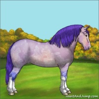 Horse Color:Watercolor Bay Ice Dun Varnish 