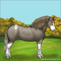 Horse Color:Smoky Grullo Sabino Splash Varnish 