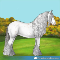 Horse Color:Bay Sabino Splash