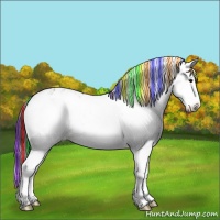 Horse Color:Painted Bay Sabino Splash Near Leopard 