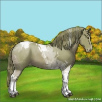 Horse Color:Watercolor Chestnut Tobiano Varnish 