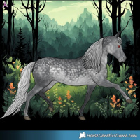 Horse Color:Silver Black Chinchilla