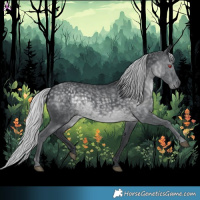 Horse Color:Silver Black Chinchilla