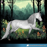 Horse Color:Silver Bay Chinchilla 