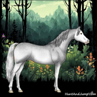 Horse Color:Silver Grullo Chinchilla Onyx Splash