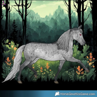Horse Color:Silver Grullo Chinchilla Brindle 