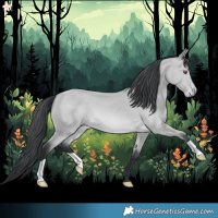 Horse Color:Bay Chinchilla 