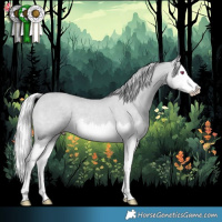 Horse Color:Silver Classic Champagne Chinchilla Splash 