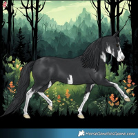 Horse Color:White Spotted Black Chinchilla 