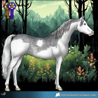 Horse Color:Silver Black Chinchilla Splash 