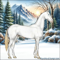 Horse Color:Buckskin Pearl Dun Near Leopard 