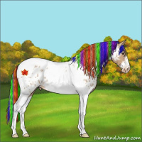 Horse Color:Painted Red Dun Tobiano Frame Near Leopard Rabicano