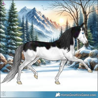 Horse Color:Midnight Black Splash Frame 