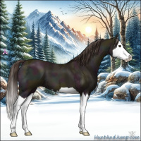Horse Color:Midnight Classic Champagne Ice Splash 