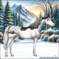 Horse Color:Silver Blue Ice Roan Splash Appaloosa Rabicano 