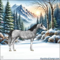 Horse Color:Blue Ice Roan Splash