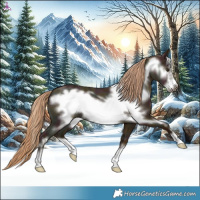 Horse Color:Midnight Red Dun Ice Frame 