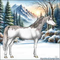 Horse Color:Silver Black Ice Splash Frame Rabicano