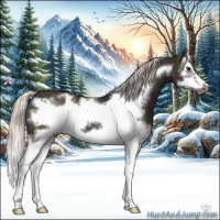Horse Color:Midnight Silver Bay Ice Dun Sabino Splash Frame 