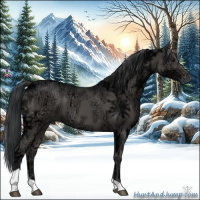 Horse Color:Black Ice Tobiano