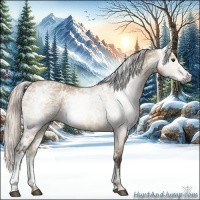 Horse Color:Gray Silver Brown Ice Dun