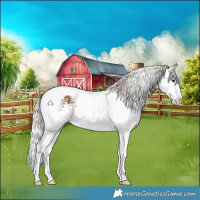 Horse Color:White Spotted Silver Bay Splash Tobiano 