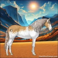 Horse Color:White Spotted Palomino 
