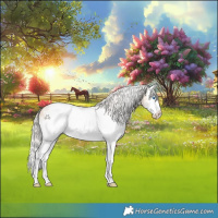 Horse Color:White Spotted Cremello Splash