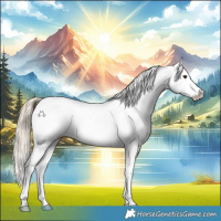 Horse Color:White Spotted Chocolate Palomino Roan Splash Appaloosa 