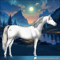 Horse Color:Chocolate Palomino Tobiano Snowcap 