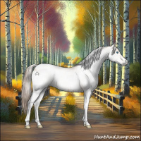 Horse Color:Gray White Spotted Perlino Tobiano 