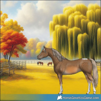 Horse Color:Chocolate Palomino Tobiano 