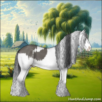 Horse Color:Grullo Sabino Splash  and Grullo Sabino Splash 