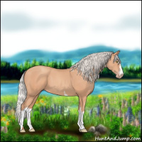 Horse Color:White Spotted Silver Amber Champagne