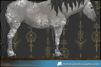 Horse Color:Grullo Ice 