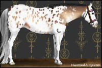 Horse Color:Bay Onyx Splash Appaloosa 