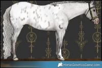 Horse Color:Silver Brown Roan Blanket 