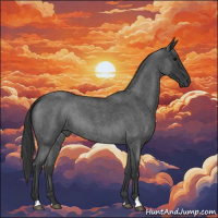 Horse Color:Blue Roan Rabicano 
