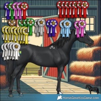 Horse Color:Black Rabicano