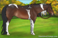 Horse Color:Brown Tobiano