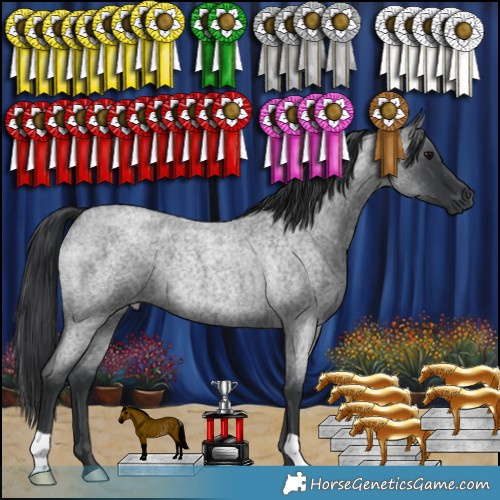 Horse Color:Blue Roan Rabicano 