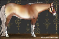 Horse Color:Silver Bay Onyx