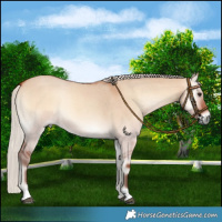 Horse Color:Silver Bay Roan Onyx 