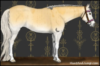Horse Color:Silver Buckskin Onyx Brindle 