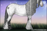Horse Color:Sable Champagne Chinchilla and Brown Chinchilla Appaloosa
