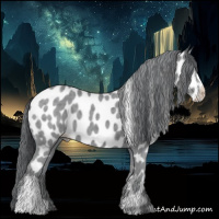 Horse Color:Classic Champagne Chinchilla Appaloosa 