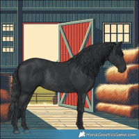 Horse Color:Black Rabicano 