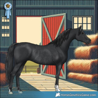Horse Color:Black Rabicano 