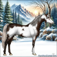 Horse Color:Silver Bay Ice Frame 